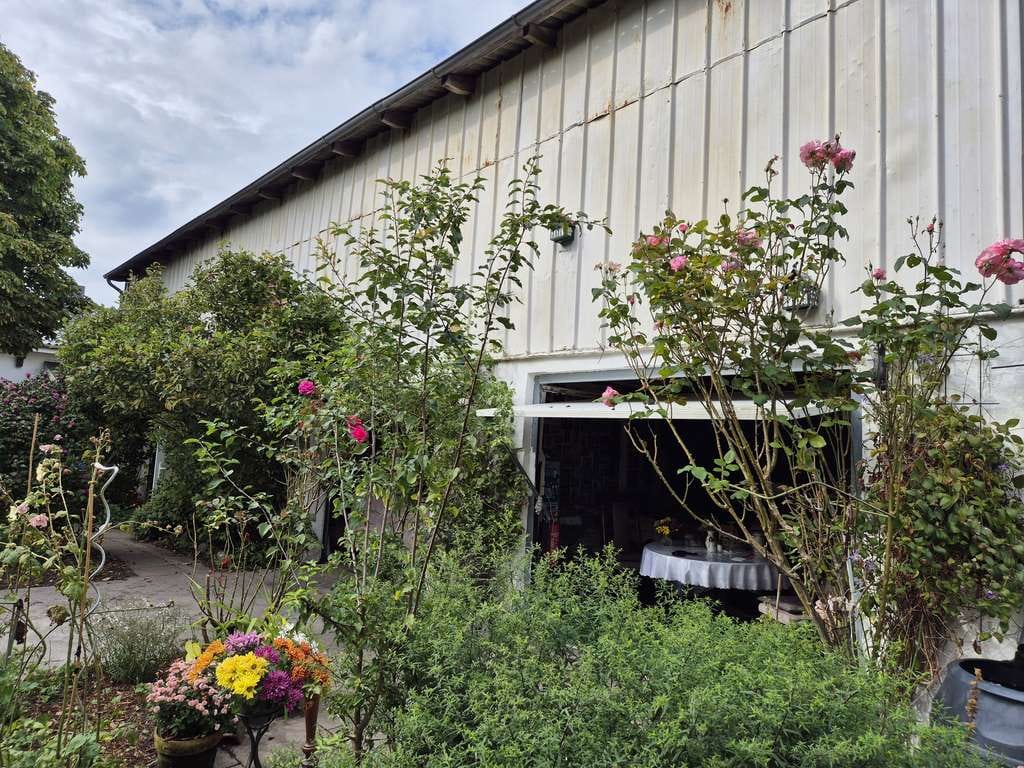 Immobilie in Wees - Wohnidylle trifft Investment: Sehr gepflegter Resthof mit 3 WE, großer Scheune & viel Grün - Bild 4