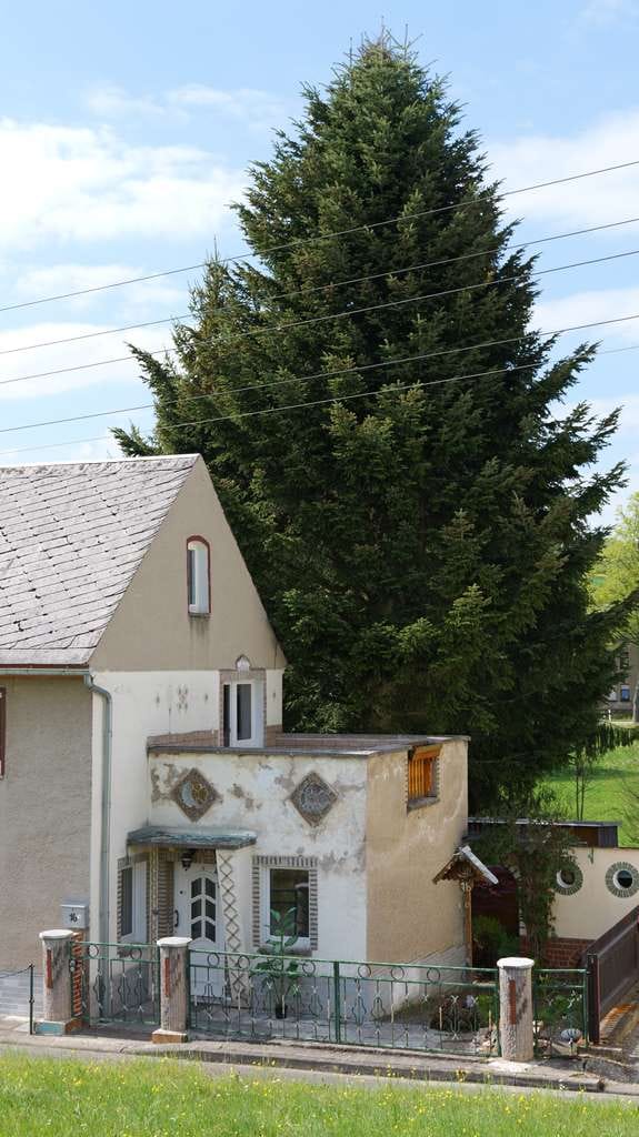 Immobilie in Heinsdorfergrund - ! ! NEUER KP 49.000 EUR ! ! Omas Häuschen mit Garten und Terrasse - Bild 2