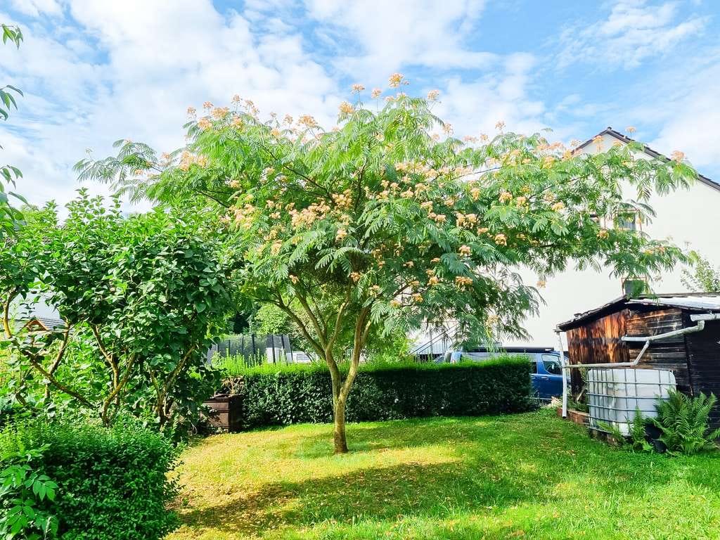 Immobilie in Miltenberg - Doppelhaushälfte mit großem Garten & Stellplatz – ideal für Handwerker - Bild 3