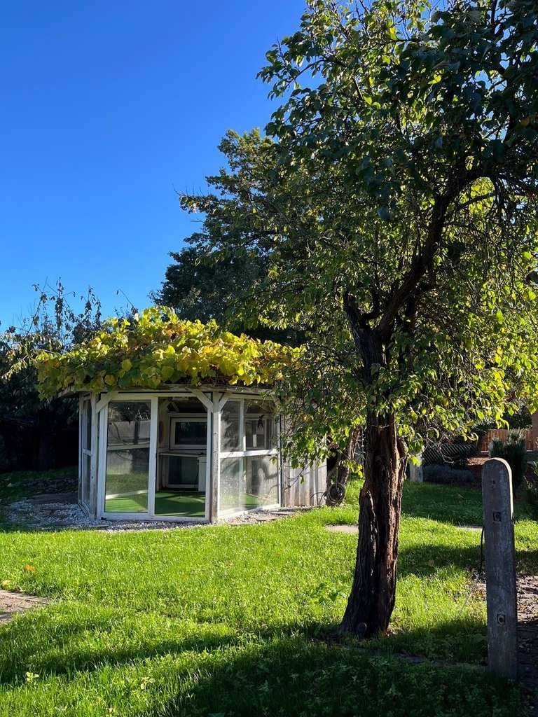 Immobilie in Dannenberg - Chance nutzen - Viel Haus für wenig Geld - Bild 4