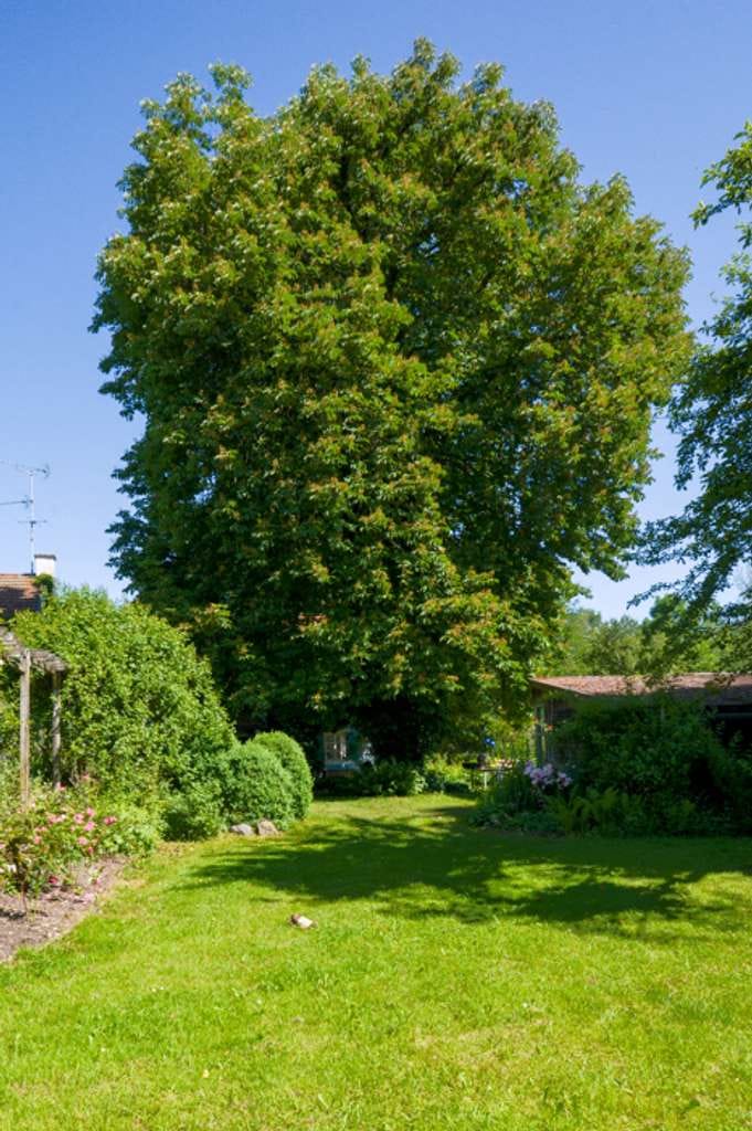 Immobilie in Seeshaupt - Landhaus in Seeshaupt / Eisenrain - Bild 3