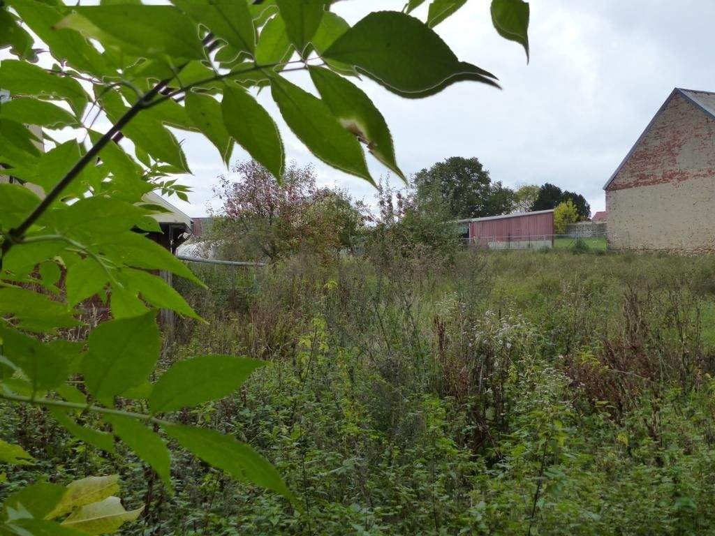 Immobilie in Liebschützberg - Großer Dreiseitenhof in der Gemeinde Liebschützberg zu verkaufen - Bild 1