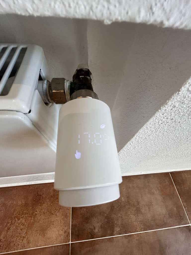 Immobilie in Lindwedel - Stilvoll modernisierte Doppelhaushälfte mit Altbaucharme in idyllischer  Lage - Bild 4