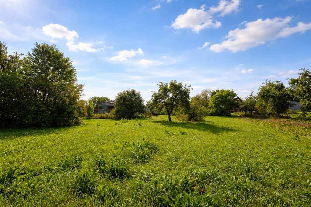 Immobilie in Reckendorf - Einmaliger Vierseithof im LK Bamberg! Riesiges Grundstück, 2 x Haus, Halle, 6000 qm Bauland! Garten! - Bild 1