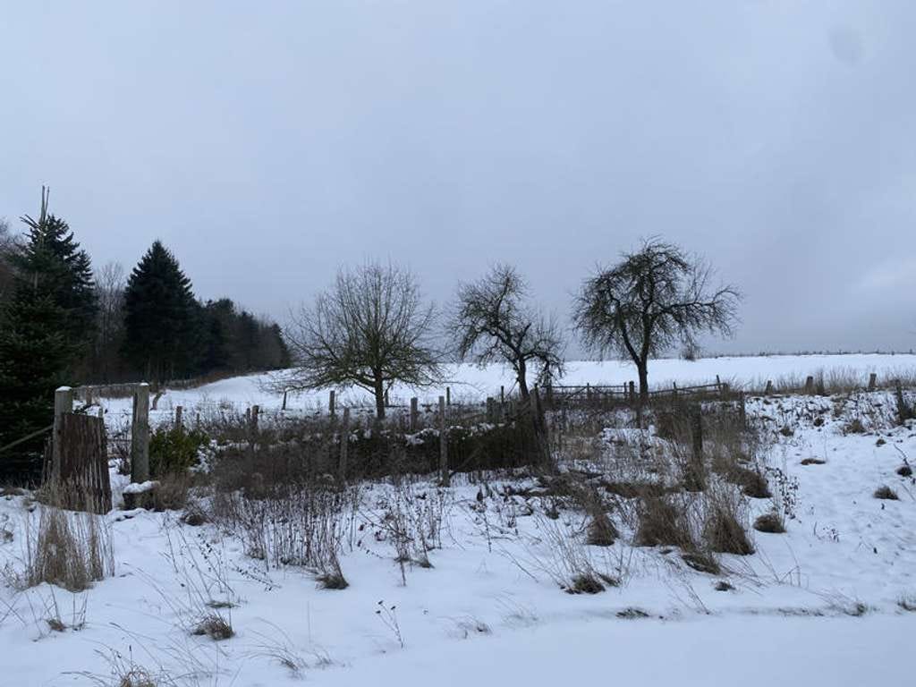 Immobilie in Freden (Leine) - Ein Hof mit Geschichte - Großzügiges Anwesen mit Fachwerkhaus! - Bild 4