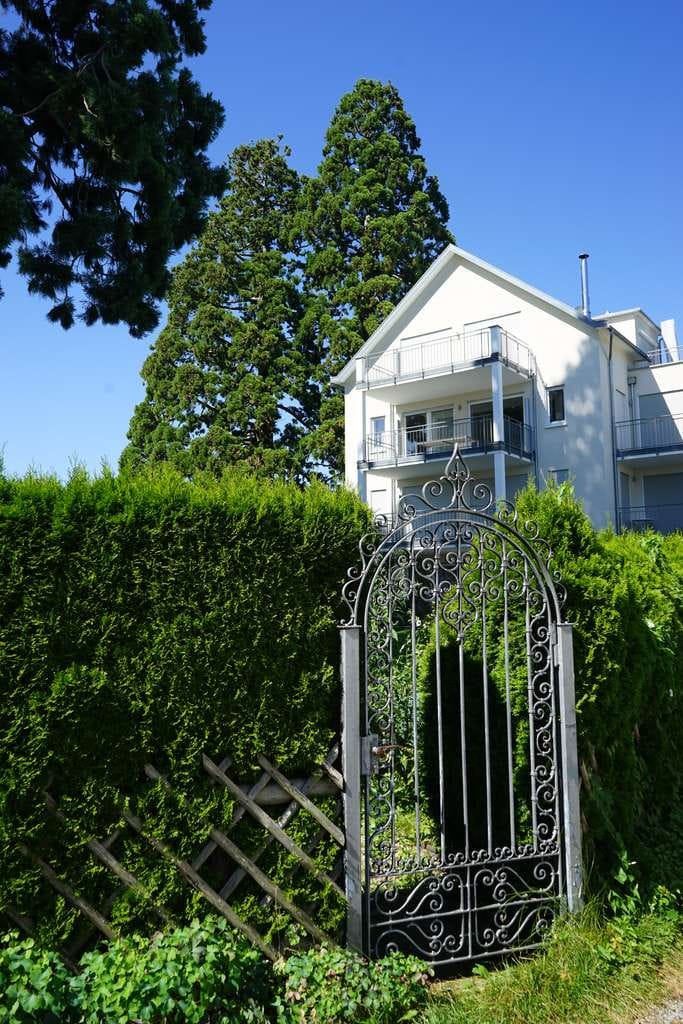 Immobilie in Wasserburg (Bodensee) - Traumwohnung am Bodensee - 30 Schritte zum Wasser  - Bild 1