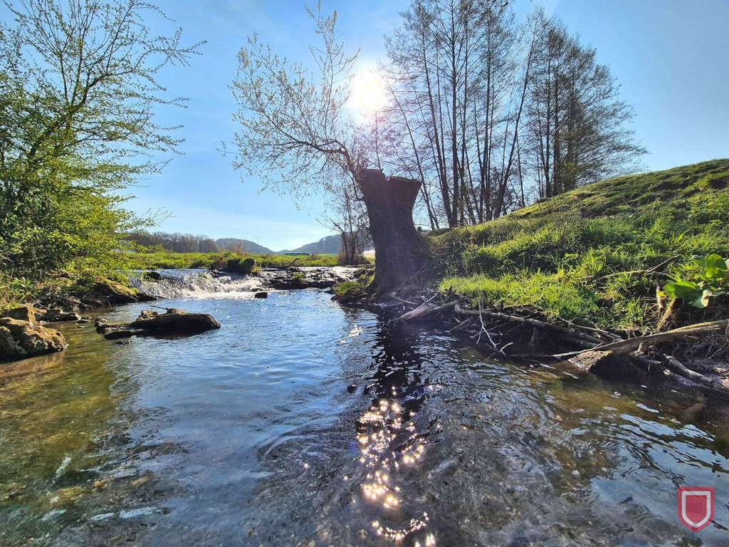 Immobilie in Liebenau - Komfortables naturnahes Wohnen im Feriendorf Zwergen/Liebenau - Bild 3