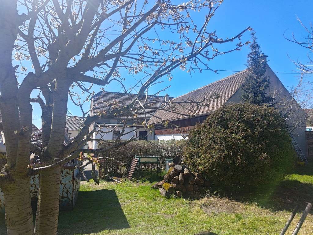 Immobilie in Oßling - Wóslink - Charmanter Drei-Seitenhof mit großem Grundstück in ruhiger Lage bei Kamenz - Bild 4