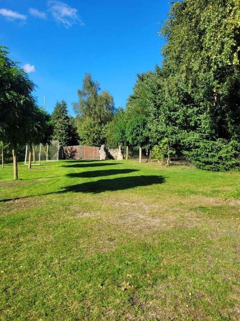 Immobilie in Stolpe auf Usedom - Traumhaftes Naturgrundstück mit Haus auf Usedom - Bild 4