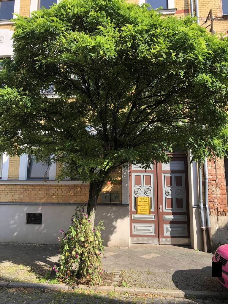Immobilie in Apolda - APOLDA - Mehrfamilienhaus mit viel Potential durch Ausbaureserven, Nebengelaß u. Zufahrt - Bild 1