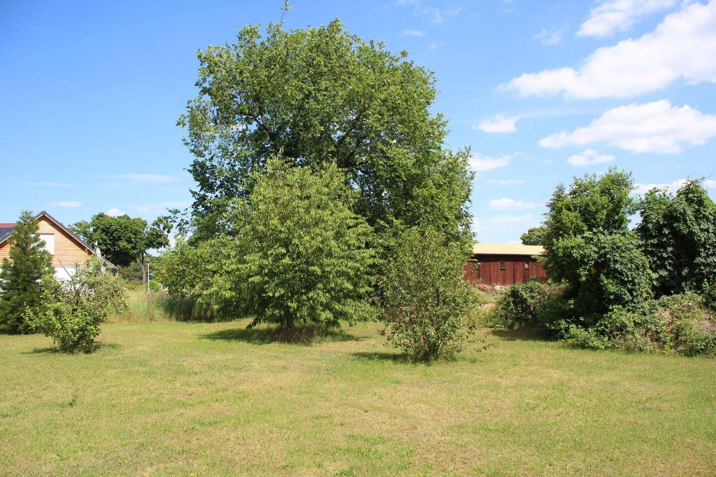 Immobilie in Trebbin - Charmantes Generationshaus in Blankensee – Raumwunder mit viel Potenzial in ruhiger Lage - Bild 3