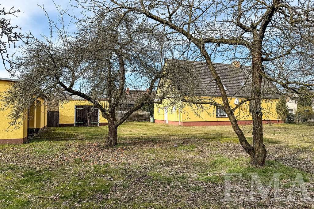 Immobilie in Kotzen - Wohnen auf großem Grund – Zweifamilienhaus mit vielen Möglichkeiten - Bild 3