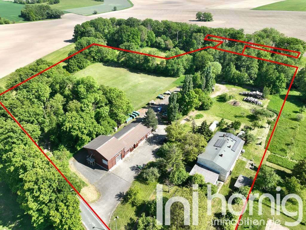 Immobilie in Liebschützberg - Landanwesen (3,5ha) mit großem Haus und Gewerbehalle - Bild 0