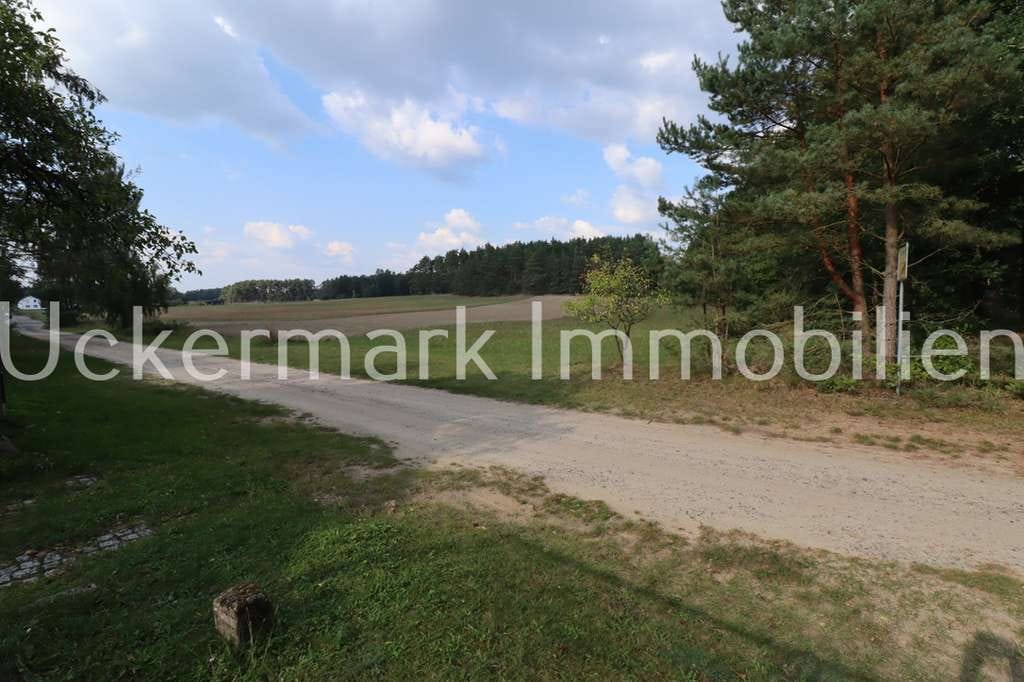 Immobilie in Schorfheide - Lage, Dorfrandlage, Traumlage – Einfamilienhaus in Klandorf zu verkaufen! - Bild 3