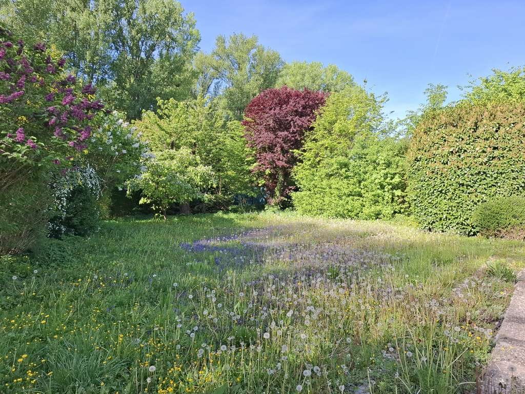 Immobilie in Altrip - Großzügiges Ein-/Zweifamilienhaus mit großem Grundstück, Garten & viel Potenzial in ruhiger Lage - Bild 3