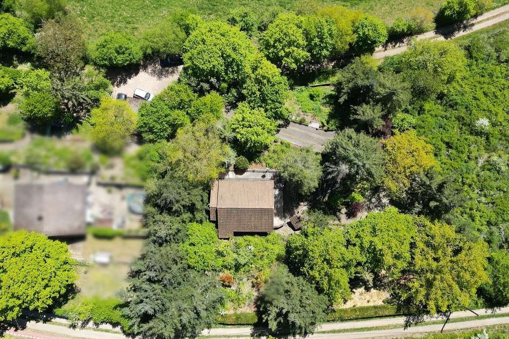 Immobilie in Feilbingert - Ein Rückzugsort für die Seele – Modernes Wohnen inmitten der Stille. - Bild 2