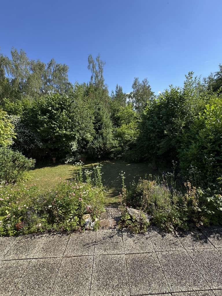 Immobilie in Rheinböllen - PROVISIONSFREI! - Bungalow in Rheinböllen (Waldsiedlung) - Bild 2