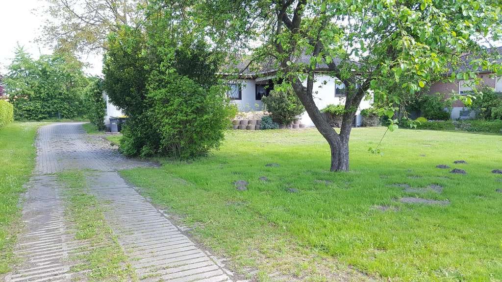 Immobilie in Echem - Ideal für Pferdehaltung - Einfamilienhaus, Baugrundstück, Stall und Hausweide / Resthof - Bild 4