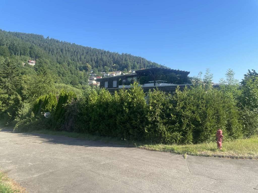 Immobilie in Bad Wildbad - 1,5 - Zi. Wohnung mit Schlafnische, Stellplatz u. Terrassen-Ausblick auf den Kurpark Bad Wildbad - Bild 4