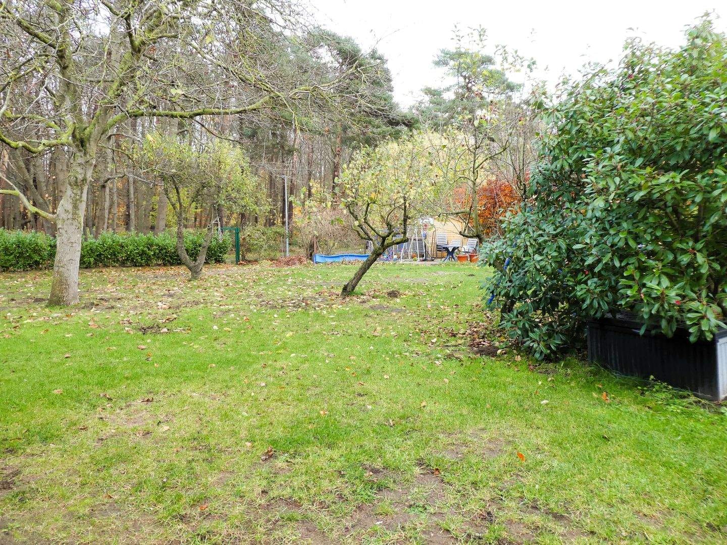 Immobilie in Kühlungsborn - Mehrfamilienhaus in ruhiger Lage von Kühlungsborn - Bild 4