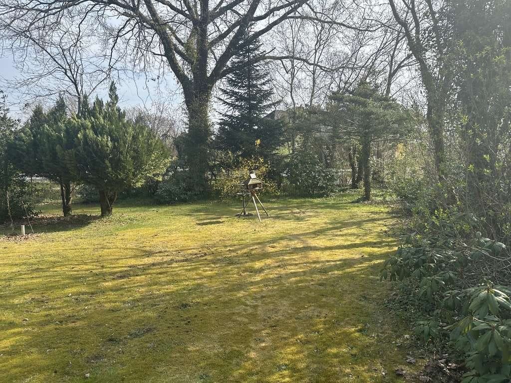 Immobilie in Schmalfeld - Großzügiges Einfamilienhaus auf ca. 1.400 m² Grundstück mit viel Potenzial - Bild 1