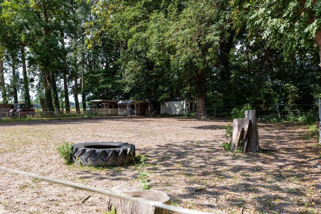 Immobilie in Wunstorf - RUDNICK bietet RESTHOFCHARME – Für Menschen mit Herz für Tiere & Raum - Bild 2