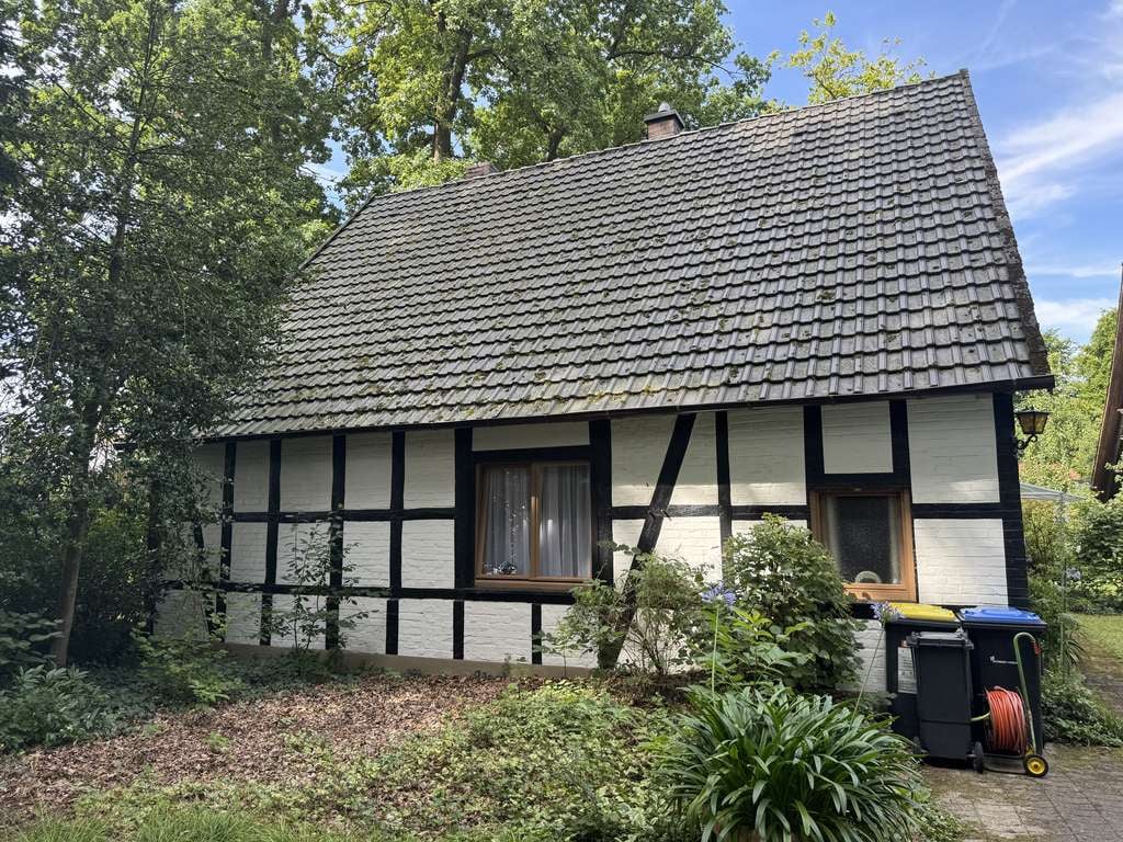 Immobilie in Steinhagen - Gemütliches Idyll im Herzen von Steinhagen - Bild 4