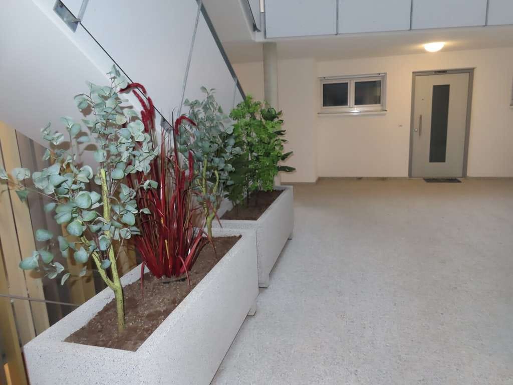 Immobilie in Boos - Wohnung mit eigenem Garten! - Bild 1