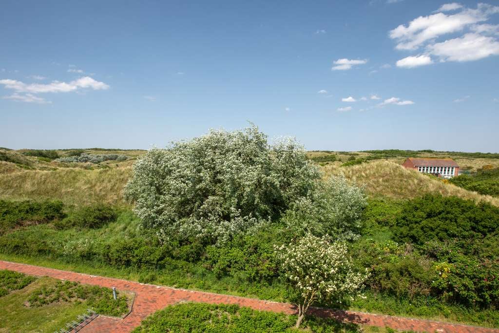 Immobilie in Juist - Residenz am Meer - 110 m² Wohntraum über zwei Etagen in ausgezeichneter Lage! - Bild 1