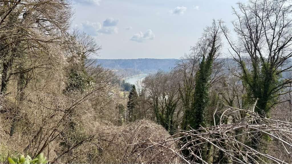 Immobilie in Burghausen - Denkmalgeschützter Einfirsthof  in schöner Lage über dem Steilufer der Salzach - Bild 1