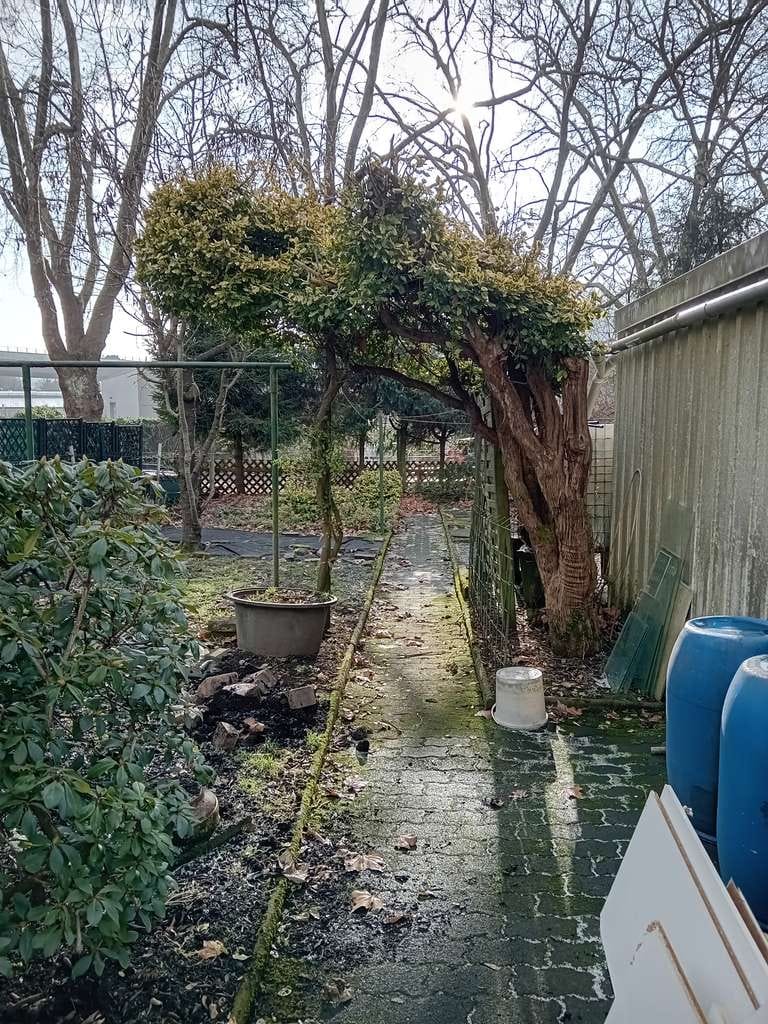 Immobilie in Siegen - Renovierungsbedürftiges 6-Zimmer Haus mit Garage in Siegen - Bild 4