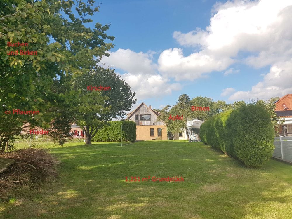 Immobilie in Loxstedt - 1-2 Familienhaus in herrlicher Land-Idylle nahe der Weser - Bild 1
