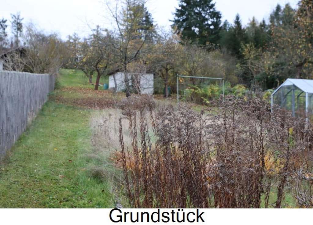Immobilie in Weischlitz - Wohnen in TOP - Lage zum fairen Preis - Bild 3