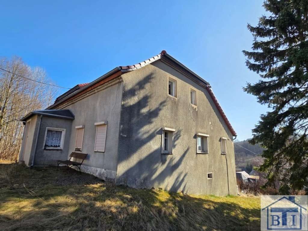 Immobilie in Oderwitz - Komplex aus historischer Mühle und Wohnhaus - Bild 1