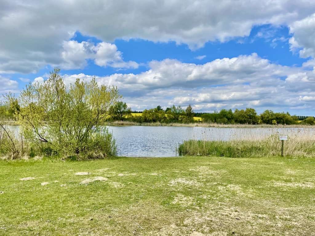 Immobilie in Gartz (Oder) - HORN IMMOBILIEN ++ schönes Einfamilienhaus mit Ausbaureserve - Bild 4