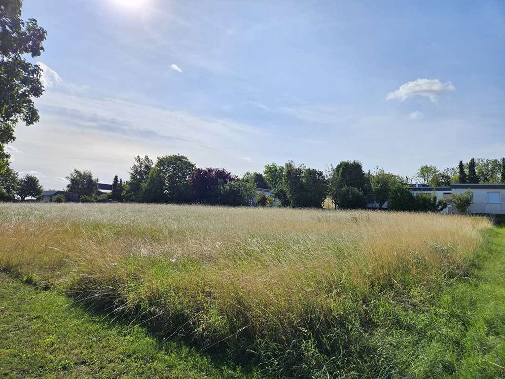 Immobilie in Vahlberg - Zu Hause einfach genießen, Ihr Familienhaus im kommenden Baugebiet in Klein Vahlberg. - Bild 3