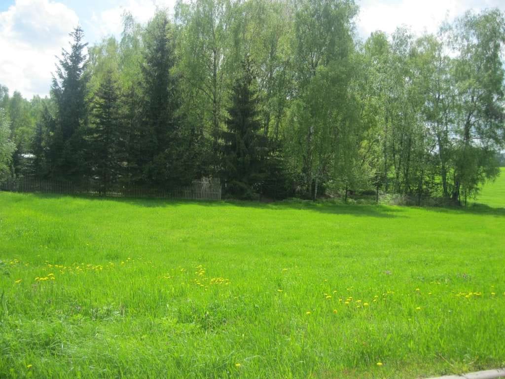 Immobilie in Großhartmannsdorf - BAUEN SIE SICH IHR FAMILIENGLÜCK - IHR EIGENES HAUS! TEL.: 01714863595   - Bild 3