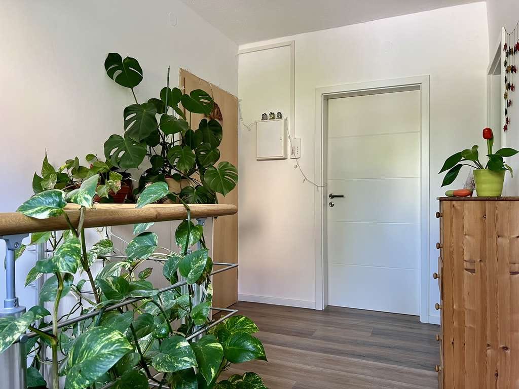 Immobilie in Bannewitz - Vollvermietetes Mehrfamilienhaus mit großem Gartengrundstück und stabilem Mietertrag - Bild 4