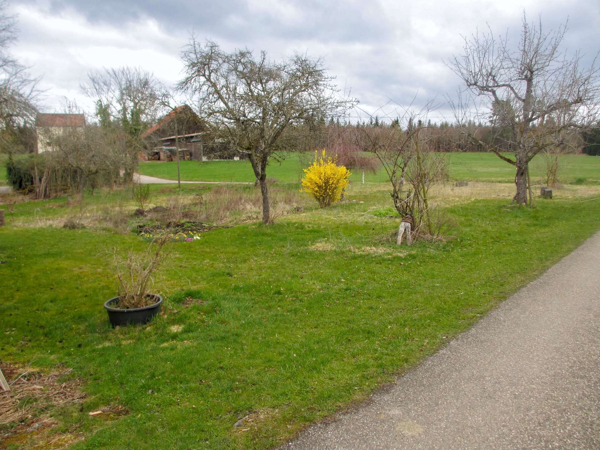 Immobilie in Murrhardt - Ländlich, ursprünglich, voller Möglichkeiten - Bild 3