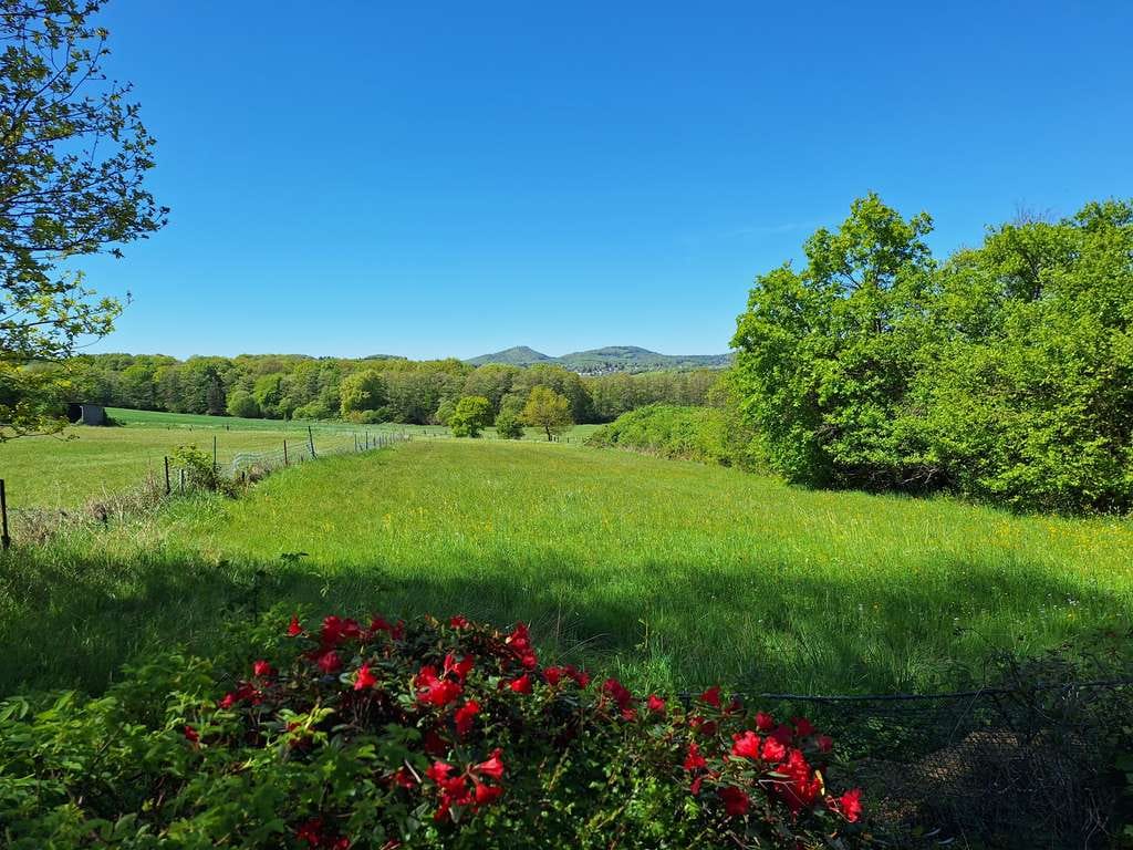 Immobilie in Bad Honnef - Weitblick , Sonnengrundstück, Einfamilienhaus mit 4 Zimmern in Wülscheid - Bild 4