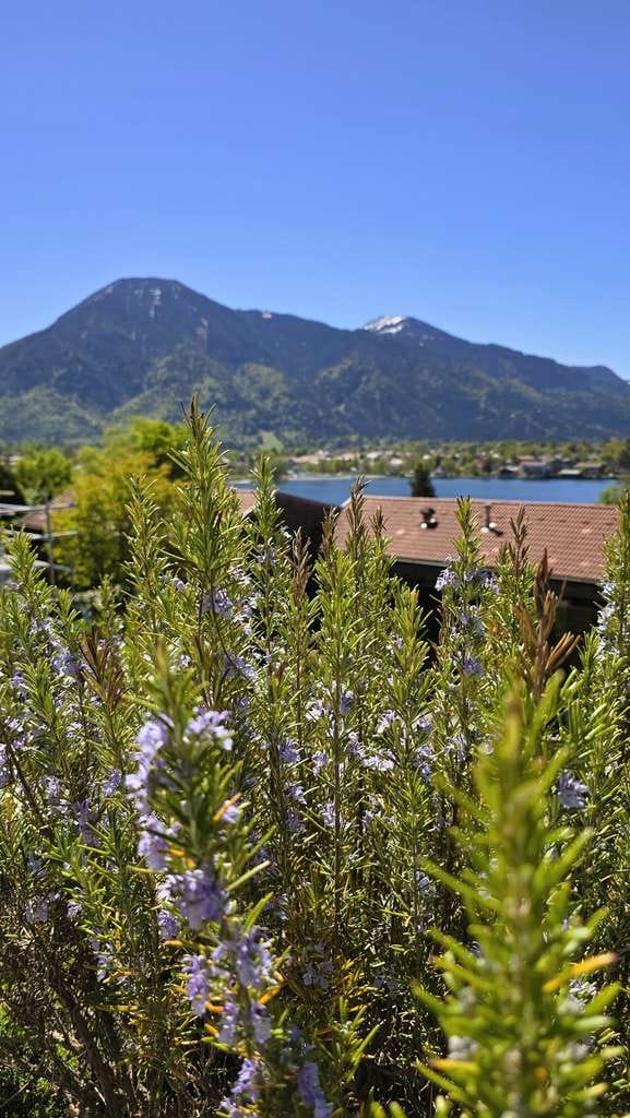 Immobilie in Tegernsee - TEGERNSEE - LEEBERG, kernsanierte 3-Zimmer-Eigentumswohnung - Bild 1