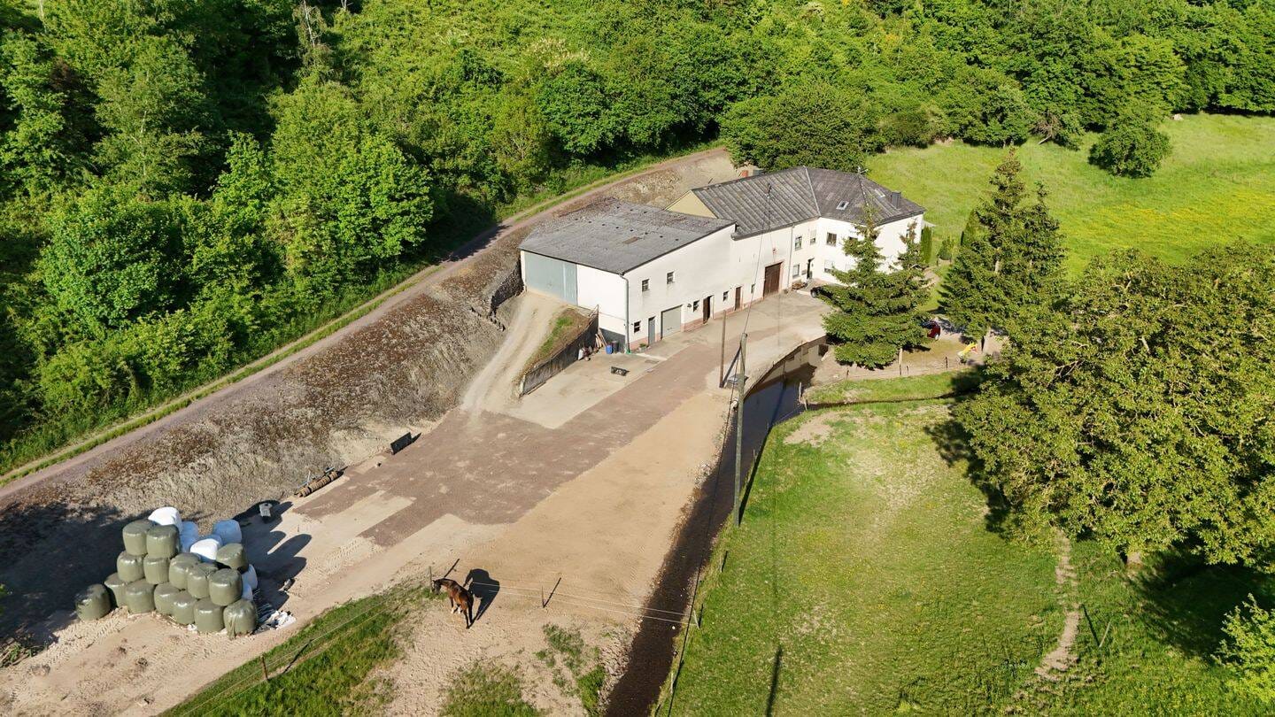 Immobilie in Saarburg - Idyllischer Bauernhof in Alleinlage Ideal für Tierliebhaber - Bild 2