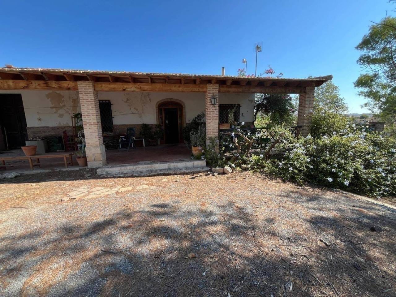 Immobilie in Calau - Chalet - Elche - Elx - Bild 2