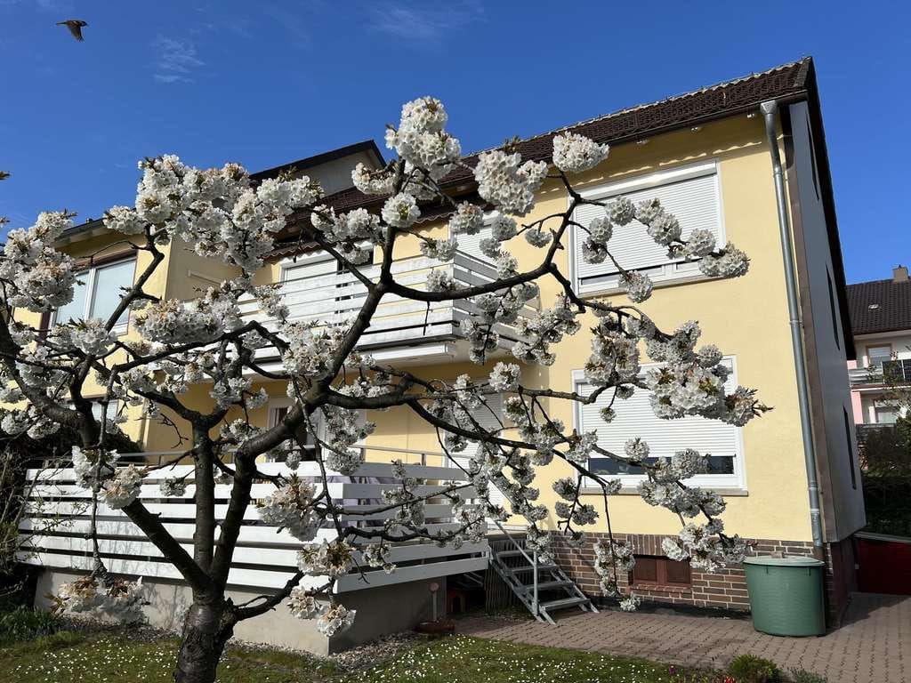 Immobilie in Alfeld (Leine) - Alfeld: Tolles Haus, tolle Ausstattung - Bild 3