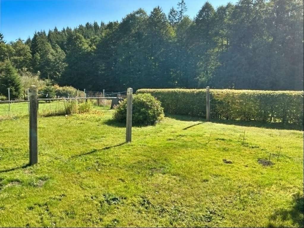 Immobilie in Klingenthal - Liebevoll gepflegtes Haus für Sie - Bild 3