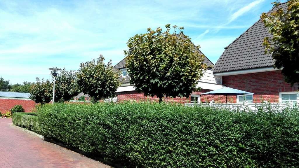 Immobilie in Glückstadt - Charakterstarke, schöne sowie ruhige Wohnung über 2 Ebenen, in herrlicher Lage Glückstadts. - Bild 4