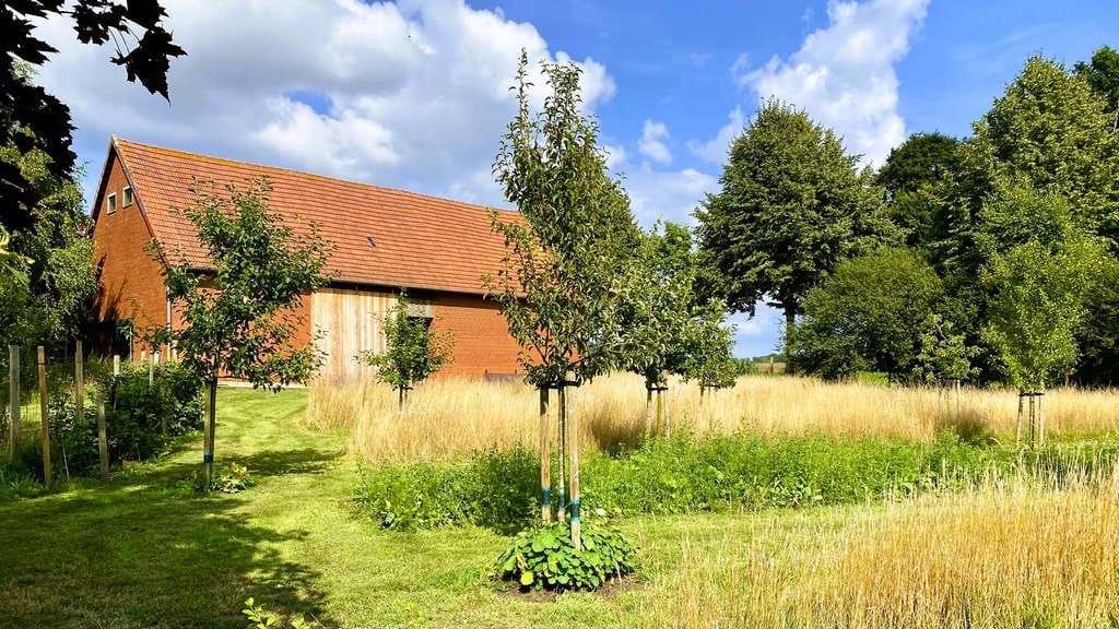 Immobilie in Sudwalde - Resthof in Bensen in besonderer Lage (unweit Syke und Bassum); 1,56 ha; mit Baugenehmigung - Bild 1