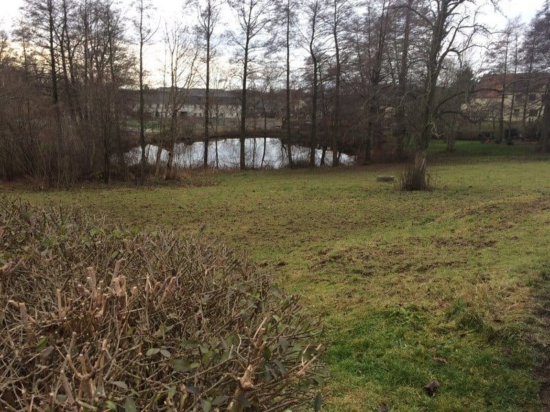 Immobilie in Blankenhain - Zzgl. Streif Ratenzuschuss 200EUR mtl. für 10J. , Gesamtaufwand/Monat = 1.299,24EUR - Bild 3
