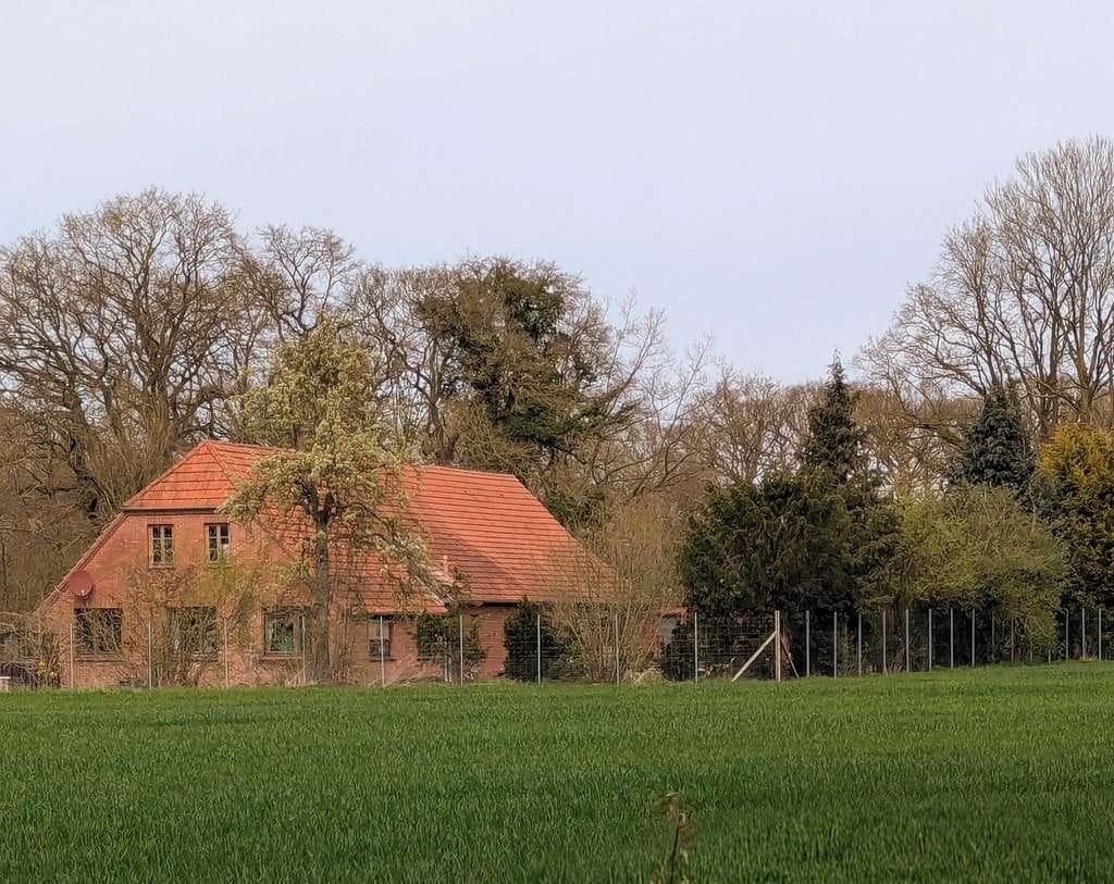 Immobilie in Hude (Oldenburg) - Provisionsfrei: Viel Platz - zwischen Oldenburg und Hude - Bild 3