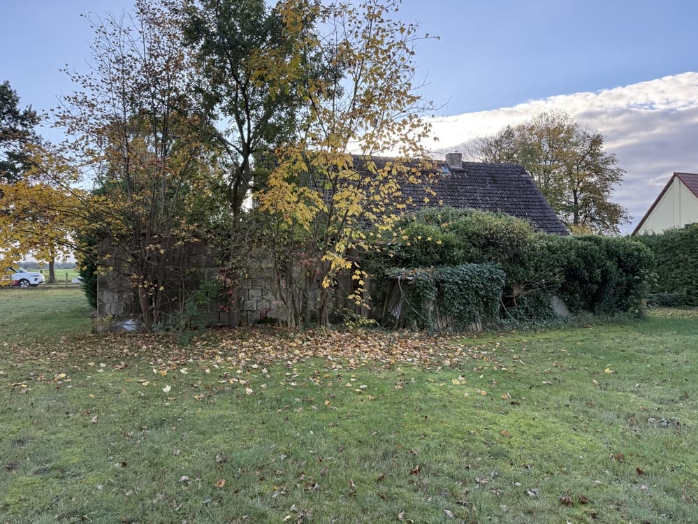Immobilie in Banzkow - Viel Raum für Familie und Natur- Einfamilienhaus in Banzkow/Jamel - Bild 2